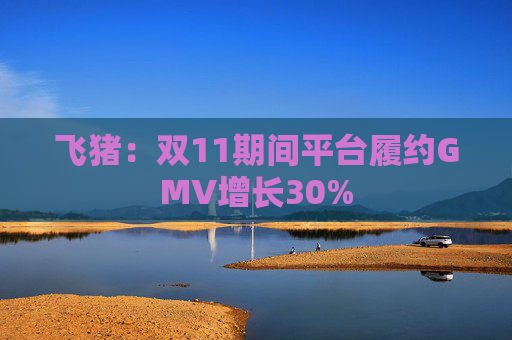 飞猪：双11期间平台履约GMV增长30%