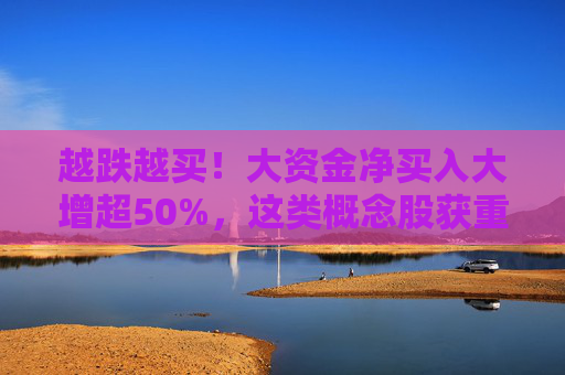 越跌越买！大资金净买入大增超50%，这类概念股获重点关注