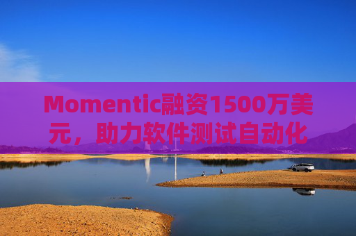 Momentic融资1500万美元，助力软件测试自动化