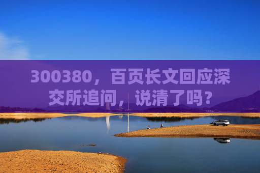 300380，百页长文回应深交所追问，说清了吗？  第1张