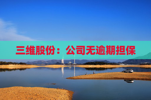 三维股份：公司无逾期担保