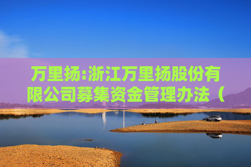 万里扬:浙江万里扬股份有限公司募集资金管理办法（2025年11月修订）