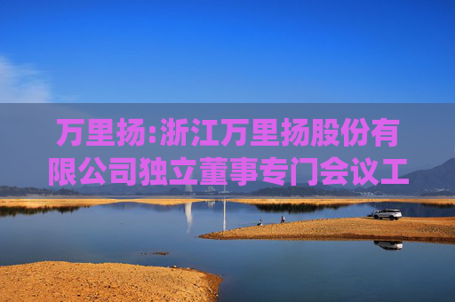 万里扬:浙江万里扬股份有限公司独立董事专门会议工作制度(2025年11月修订)
