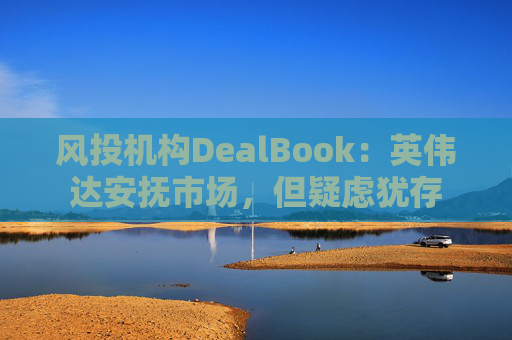 风投机构DealBook：英伟达安抚市场，但疑虑犹存