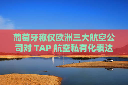 葡萄牙称仅欧洲三大航空公司对 TAP 航空私有化表达兴趣
