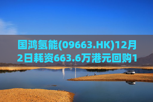 国鸿氢能(09663.HK)12月2日耗资663.6万港元回购128.6万股