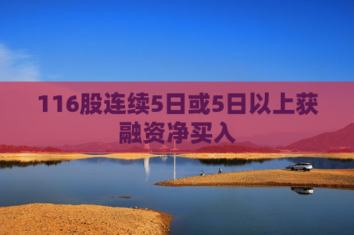 116股连续5日或5日以上获融资净买入