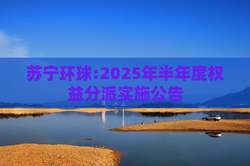 苏宁环球:2025年半年度权益分派实施公告