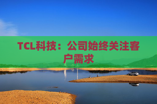 TCL科技：公司始终关注客户需求
