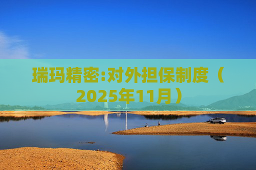 瑞玛精密:对外担保制度（2025年11月）