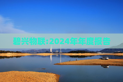 碧兴物联:2024年年度报告