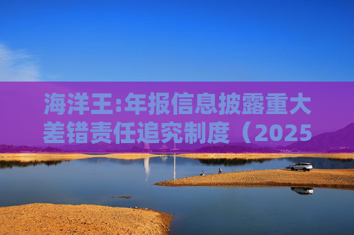 海洋王:年报信息披露重大差错责任追究制度（2025年12月）