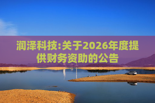 润泽科技:关于2026年度提供财务资助的公告