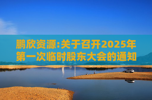 鹏欣资源:关于召开2025年第一次临时股东大会的通知  第1张