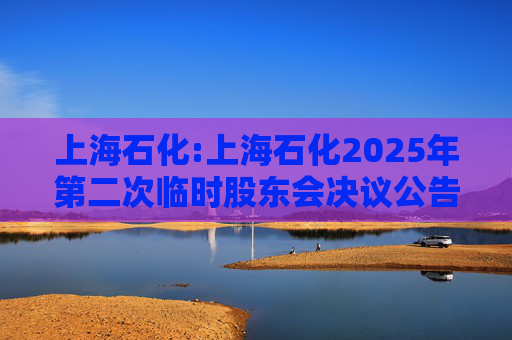 上海石化:上海石化2025年第二次临时股东会决议公告