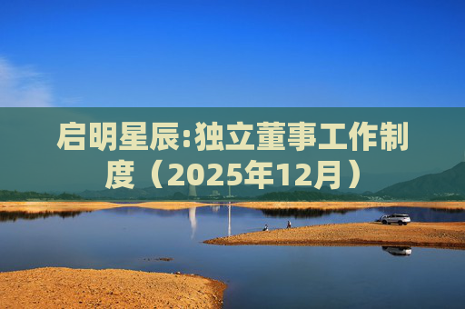 启明星辰:独立董事工作制度（2025年12月）