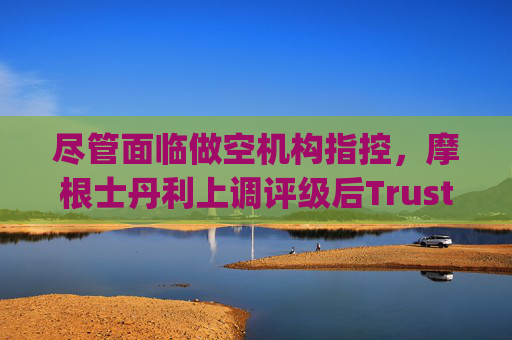 尽管面临做空机构指控，摩根士丹利上调评级后Trustpilot股价飙升  第1张