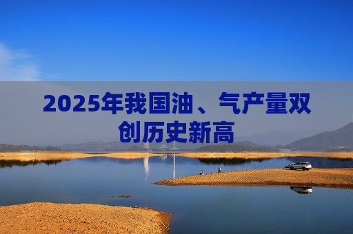 2025年我国油、气产量双创历史新高