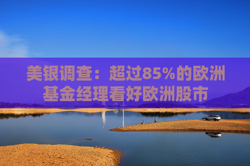 美银调查：超过85%的欧洲基金经理看好欧洲股市  第1张