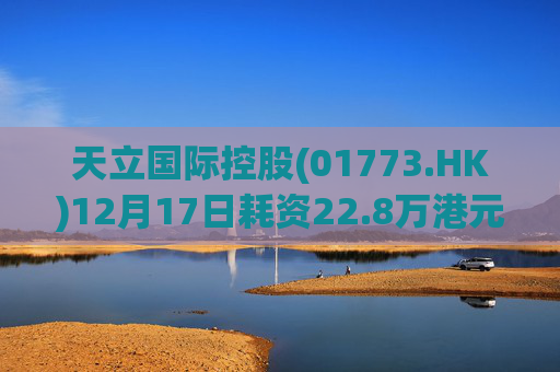 天立国际控股(01773.HK)12月17日耗资22.8万港元回购10万股