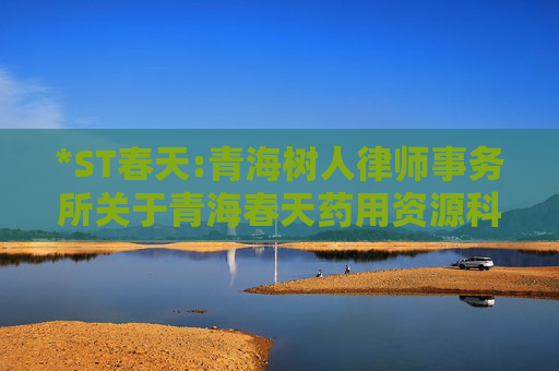 *ST春天:青海树人律师事务所关于青海春天药用资源科技股份有限公司2025年第三次临时股东会之法律意见书