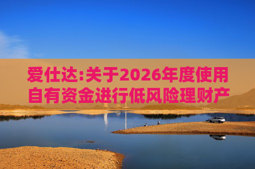 爱仕达:关于2026年度使用自有资金进行低风险理财产品投资的公告