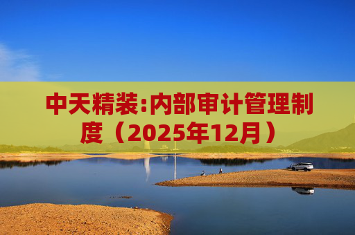 中天精装:内部审计管理制度（2025年12月）