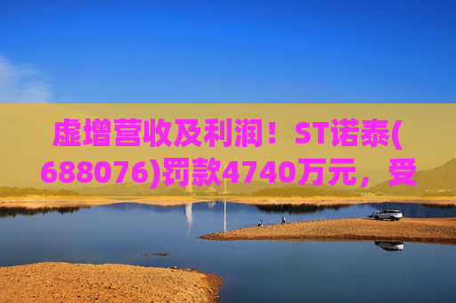 虚增营收及利润！ST诺泰(688076)罚款4740万元，受损投资者可索赔！