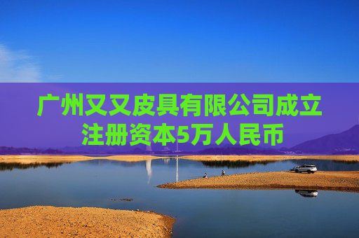广州又又皮具有限公司成立 注册资本5万人民币  第1张