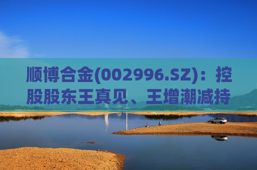 顺博合金(002996.SZ)：控股股东王真见、王增潮减持1371.88万股公司股份