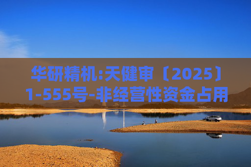 华研精机:天健审〔2025〕1-555号-非经营性资金占用及其他关联资金往来情况的专项审计说明