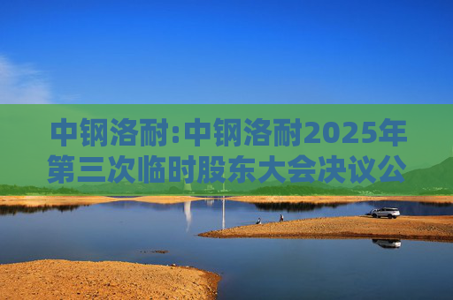 中钢洛耐:中钢洛耐2025年第三次临时股东大会决议公告