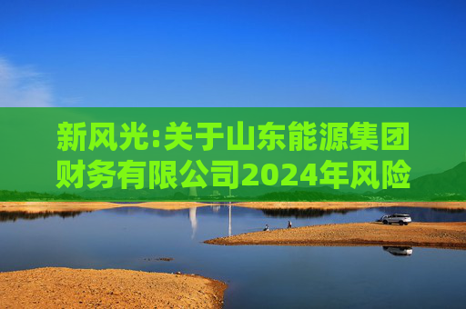 新风光:关于山东能源集团财务有限公司2024年风险评估报告