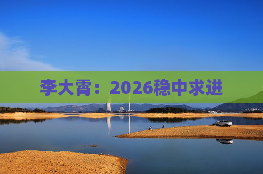 李大霄：2026稳中求进