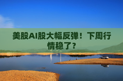 美股AI股大幅反弹！下周行情稳了？