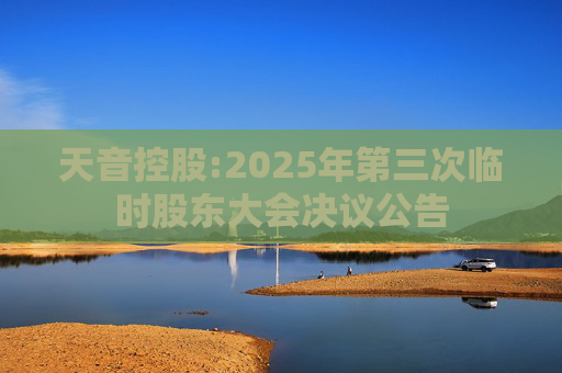 天音控股:2025年第三次临时股东大会决议公告