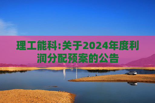 理工能科:关于2024年度利润分配预案的公告