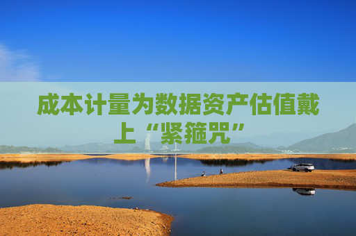 成本计量为数据资产估值戴上“紧箍咒”  第1张