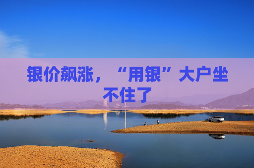 银价飙涨，“用银”大户坐不住了