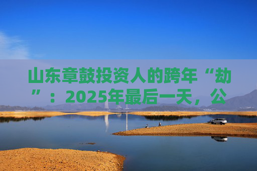 山东章鼓投资人的跨年“劫”：2025年最后一天，公司披露被中国证监会立案调查