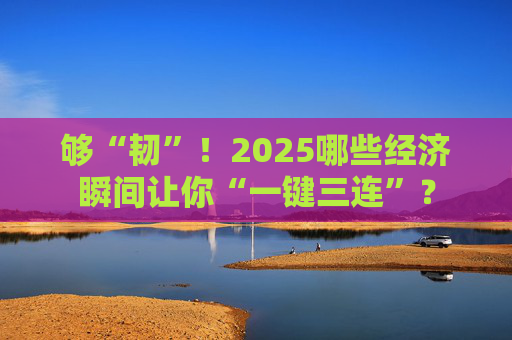够“韧”！2025哪些经济瞬间让你“一键三连”？
