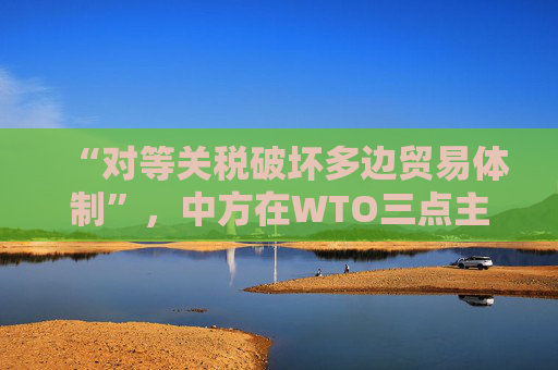 “对等关税破坏多边贸易体制”，中方在WTO三点主张发言，引发广泛呼应  第1张