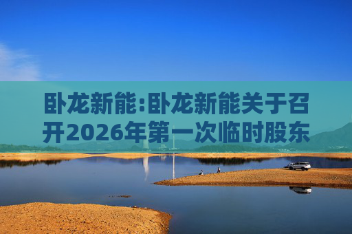 卧龙新能:卧龙新能关于召开2026年第一次临时股东会的通知