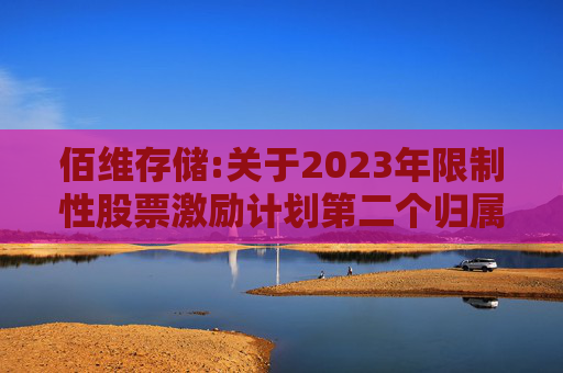 佰维存储:关于2023年限制性股票激励计划第二个归属期（第二批次）、2024年限制性股票激励计划首次授予第一个归属期（第二批次）归属结果暨股份上市的公告