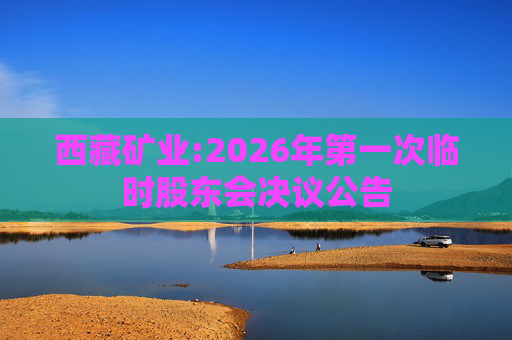 西藏矿业:2026年第一次临时股东会决议公告