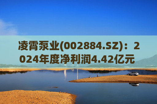 凌霄泵业(002884.SZ)：2024年度净利润4.42亿元 拟10派10元