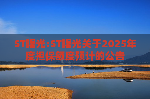 ST曙光:ST曙光关于2025年度担保额度预计的公告