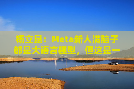杨立昆：Meta新人满脑子都是大语言模型，但这是一条死胡同