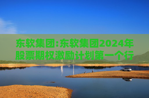 东软集团:东软集团2024年股票期权激励计划第一个行权期2025年第四季度自主行权结果暨股份变动的公告