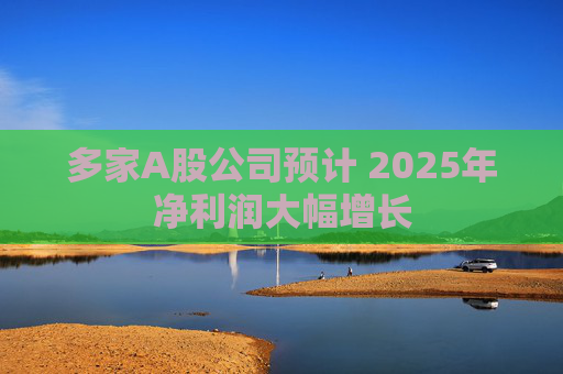 多家A股公司预计 2025年净利润大幅增长  第1张